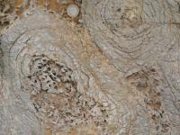 Albums/20060800-China Aug 2006/20060804-Shenyang University/69